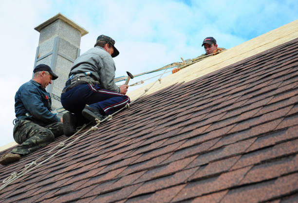 Best Storm Damage Roof Repair  in Merian, ID